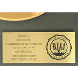 Johnny Guitar Watson Ain’t That A Bitch RIAA Gold Album Award - Record Award