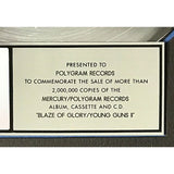 Jon Bon Jovi Blaze Of Glory RIAA 2x Multi-Platinum Album Award - Record Award