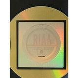 KT Tunstall Eye To The Telescope RIAA Gold Album Award - Record Award