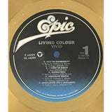 Living Colour Vivid RIAA Gold LP Award - Record Award