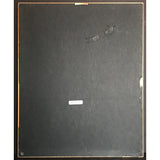 Love and Rockets self-titled RIAA Gold Album Award - Record Award