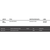 Mac Miller ’Watching Movies’ RIAA Gold Single Award - Record Award