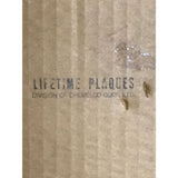 Maxine Nightingale Right Back Where We Started From CRIA Gold Single Award - Record Award