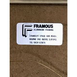 Meat Loaf Bat Out Of Hell II 1993 Virgin Records UK Award - Record Award