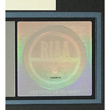 Meredith Brooks Blurring The Edges RIAA Platinum Album Award - Record
