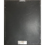 Mötley Crüe Theatre Of Pain RIAA Platinum Album Award - Record Award