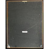 MTV Party To Go Vol. 3 RIAA Gold Album Award - Record Award