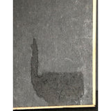 Neil Young Freedom RIAA Gold Album Award - Record Award