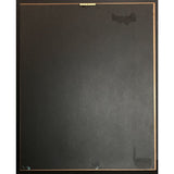 Neil Young Freedom RIAA Gold Album Award - Record Award