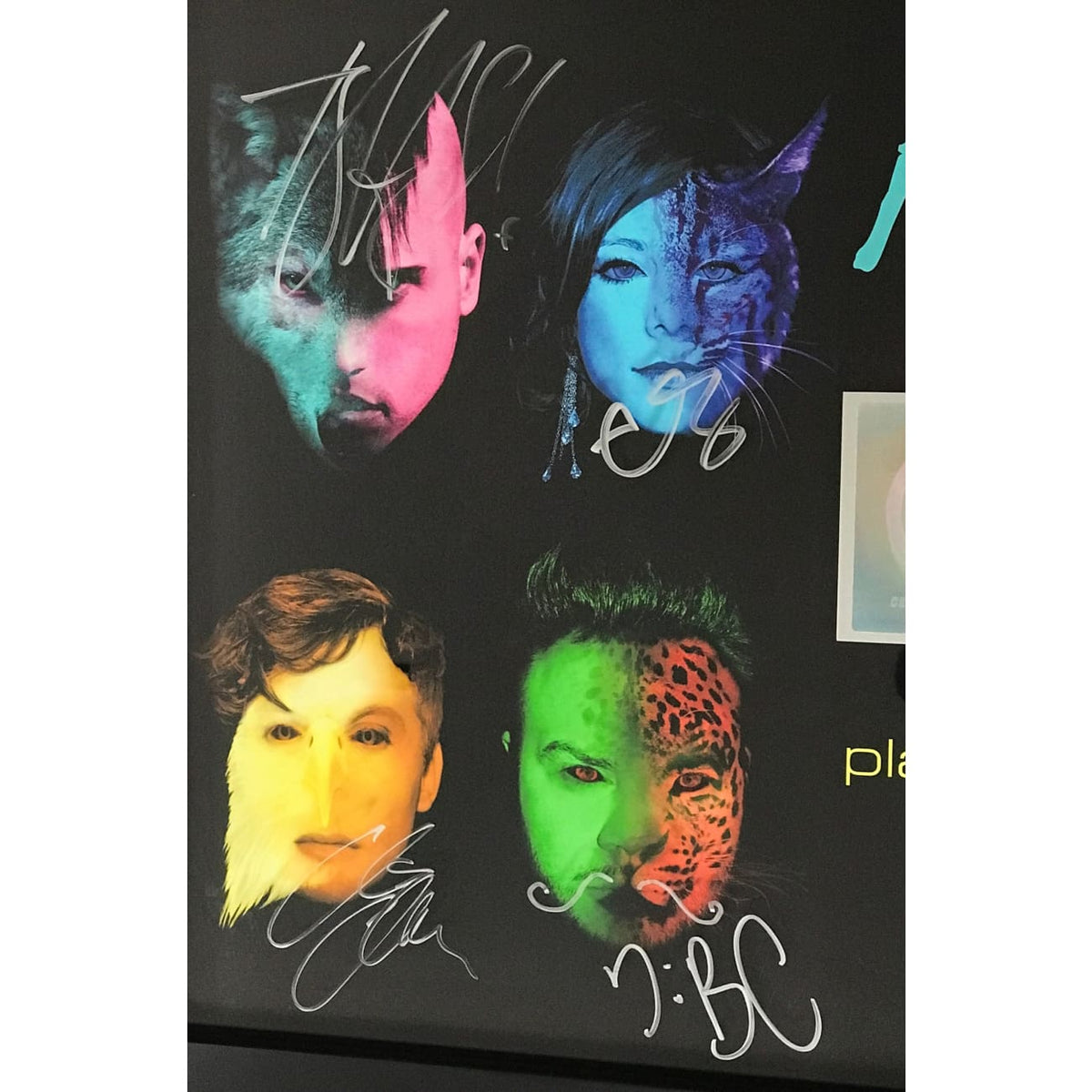musicgoldmine.com - Neon Trees 