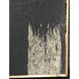 No Mercy debut RIAA Gold Album Award - Record Award