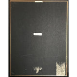 No Mercy debut RIAA Gold Album Award - Record Award