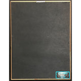 Pantera Vulgar Display Of Power RIAA Gold Album Award - Record Award