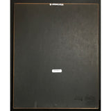 Paul Simon Graceland RIAA Gold Album Award - Record Award