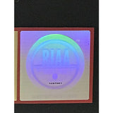 Pearl Jam Backspacer RIAA Gold Album Award - Record Award