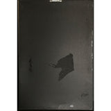 Pearl Jam Vitalogy RIAA 4x Platinum Album Award - Record Award