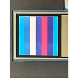 Pet Shop Boys Introspective RIAA Gold Album Award - Record Award