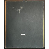 Pet Shop Boys Introspective RIAA Gold Album Award - Record Award