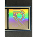 Pet Shop Boys Introspective RIAA Gold Album Award - Record Award