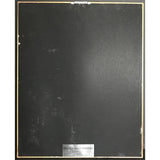 Peter Paul and Mary debut RIAA Gold Album Award - Record Award