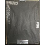 Poison Unskinny Bop RIAA Gold Single Award - Record Award