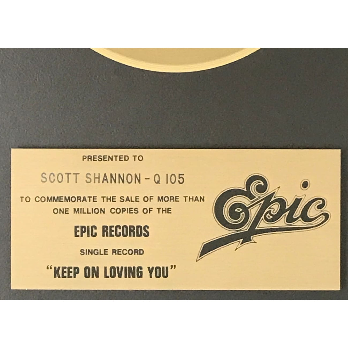 musicgoldmine.com - R.E.O. Speedwagon Keep On Lovin' You Epic