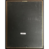 R. Kelly 12 Play RIAA Platinum Album Award - Record Award