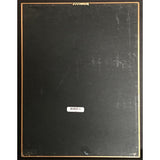 R. Kelly 12 Play RIAA Platinum Album Award - Record Award