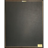 Red Hot Chili Peppers Mother’s Milk RIAA Gold Album Award - Record Award