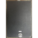 Ricky Martin debut RIAA 7x Multi-Platinum Album Award - Record Award