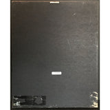 Roberta Flack Blue Lights In The Basement RIAA Gold Album Award - Record Award