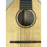 Rolling Stones Bill Wyman Owned and Stage Played Mandolin - RARE - Guitar
