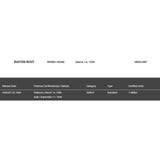 Rusted Root When I Woke RIAA Platinum Album Award - Record Award