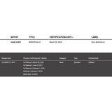 Sam Hunt Montevallo RIAA 2x Multi - Platinum Album Award - Record Award