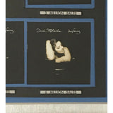 Sarah McLachlan Surfacing RIAA 6x Multi - Platinum Award - NEW sealed Record