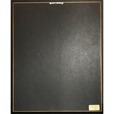 Scorpions World Wide Live RIAA Gold Album Award - Record Award