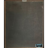 Slaughter Stick It To Ya RIAA 2x Multi-Platinum Award signed by band - Record Award