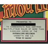 Smash Mouth Fush Yu Mang RIAA 2x Multi - Platinum LP Award - Record