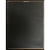 Smashing Pumpkins Gish RIAA Gold Album Award - Record Award