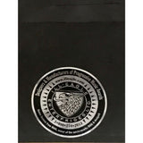 SR-71 Now You See Inside RIAA Gold Album Award - Record Award