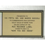 SR-71 Now You See Inside RIAA Gold Album Award - Record Award