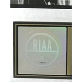 SR-71 Now You See Inside RIAA Gold Album Award - Record Award