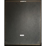 Steve Winwood Chronicles RIAA Platinum Album Award - Record Award