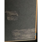 Stevie Nicks The Other Side Of The Mirror RIAA Gold Album Award - Record Award