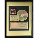 Stevie Nicks The Other Side Of The Mirror RIAA Gold Album Award - Record Award