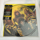 Stryper To Hell With The Devil 1986 Vinyl Import Picture Disc Limited Edition - Media