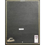 The Jerky Boys 2 RIAA Gold Album Award - Record Award