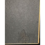 The Lost Boys Soundtrack RIAA Gold Album Award - Record Award