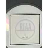 The Offspring Ixnay On The Hombre RIAA Platinum Album Award - Record Award