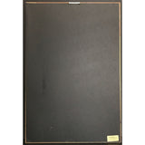 The Simpsons Sing Blues RIAA 2x Multi - Platinum Album Award - Record